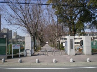 南久留米駅 徒歩10分 3階の物件内観写真